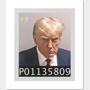 Inmate P01135809 / Trump Mug Shot Posters and Art